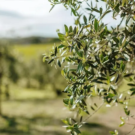 Di Sotto Alloggio per agriturismo Castelnuovo Berardenga