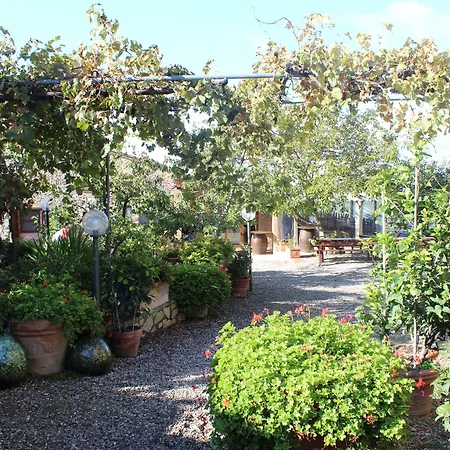 Di Sotto * Castelnuovo Berardenga